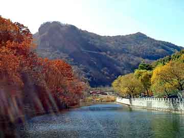 新澳天天开奖资料大全旅游团，施金驰的灭蚊器